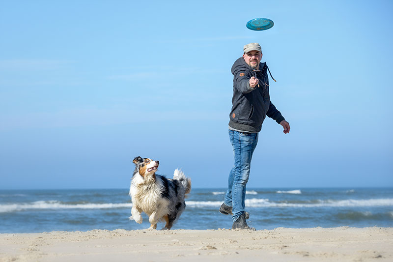urlaub-hund-strand-frisbee